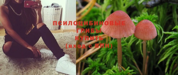 ГАЛЛЮЦИНОГЕННЫЕ ГРИБЫ Магас