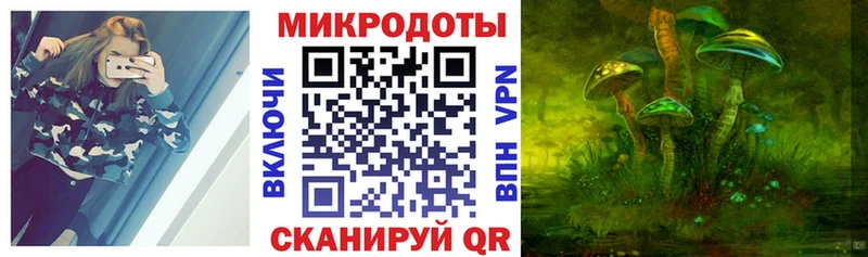 мориарти официальный сайт Шадринск Псилоцибиновые грибы MAGIC MUSHROOMS