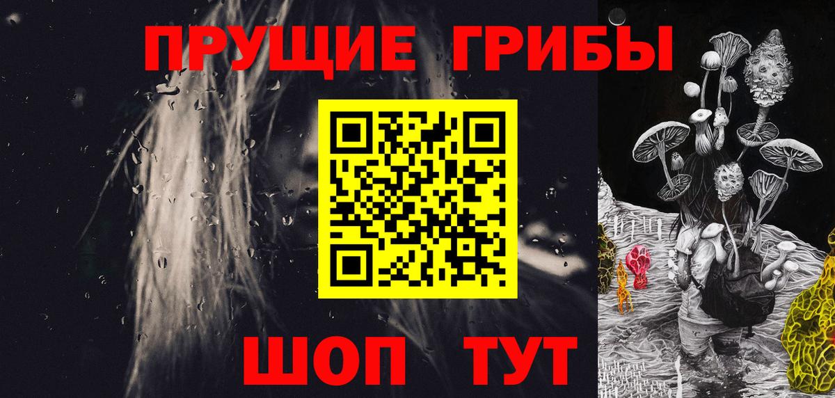 Галлюциногенные грибы прущие грибы  Вход с VPN  Шадринск 