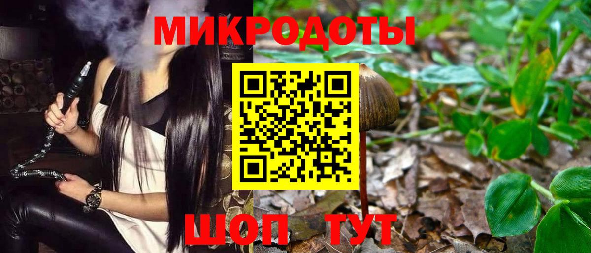 Псилоцибиновые грибы мицелий Шадринск